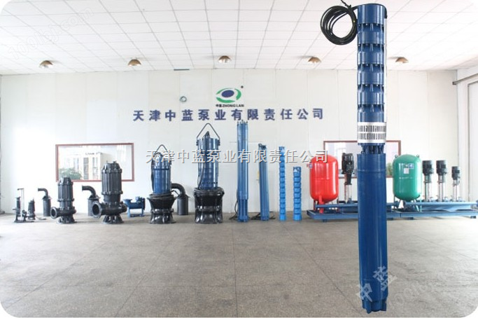 天津电水泵